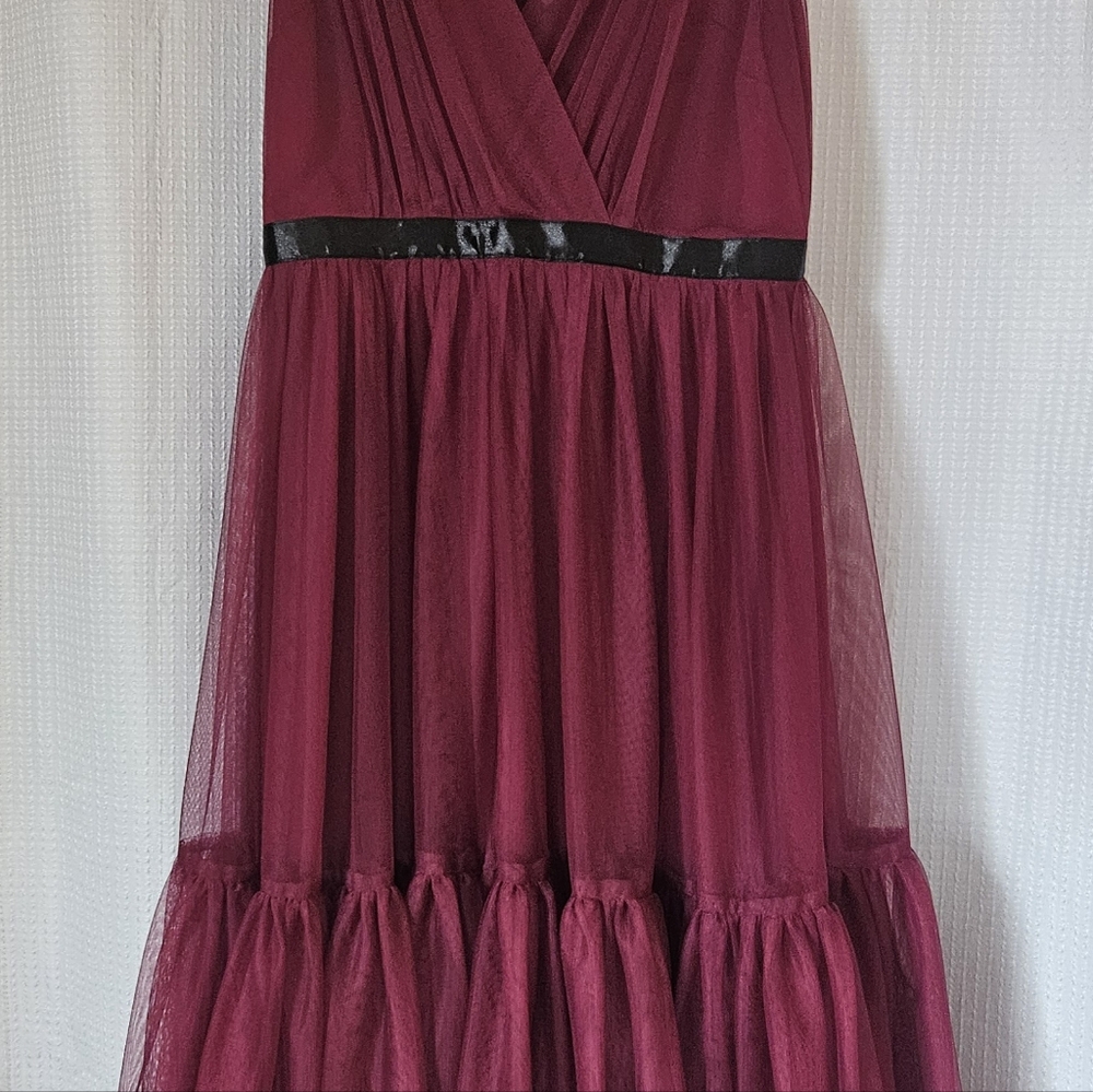 Elegant Raspberry Pink Tulle Dress - Picture 3 of 10